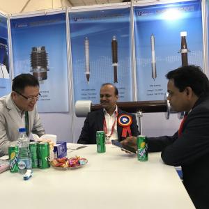 International Electricity Exhibition in New Delhi, India