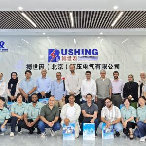 Arab Delegation of Energy Experts Visits Bushing (Beijing) HV Electric to Foster Collaboration,
